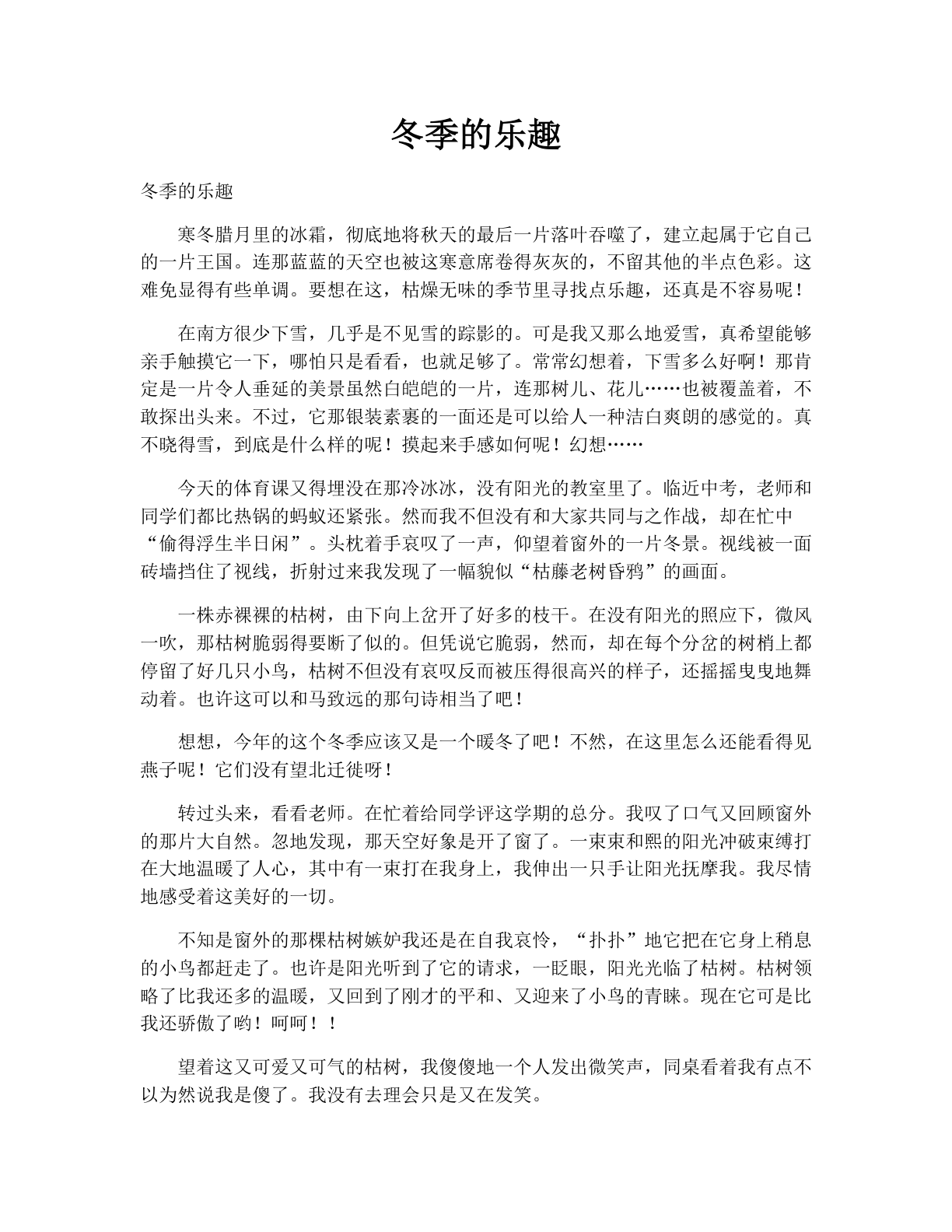 冬季的乐趣
